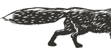Kradecat